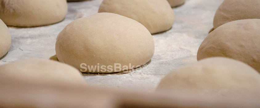 Dough-Improvers-vs-Dough-Conditioners-Are-They-the-Same-Advice-Prod138-1