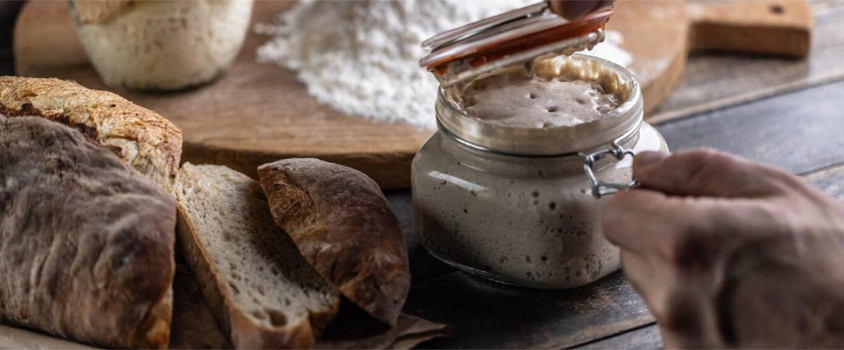 The-Basics-of-Sourdough-A-Bakers-Guide-Insights-Prod113-1