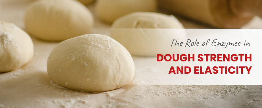 The-Role-of-Enzymes-in-Dough-Strength-and-Elasticity-Insights-Prod106-1